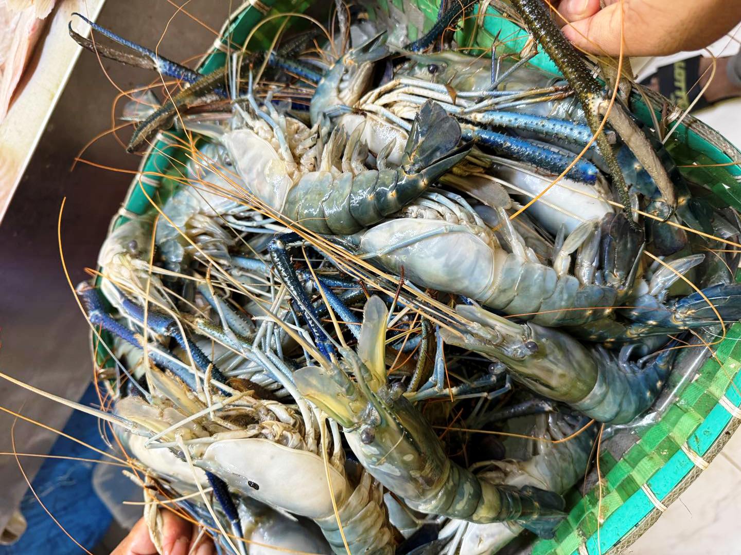 Scampi Prawns Price