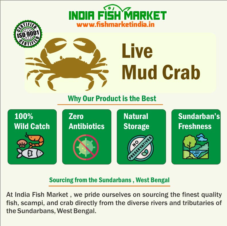 Mud Crab Price catalogue